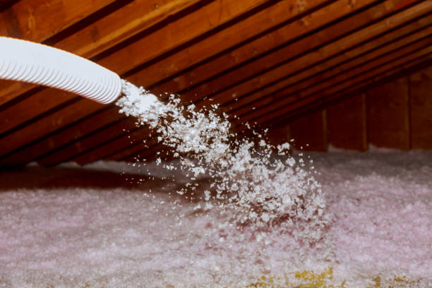 Types of Insulation We Offer in Kraemer, LA