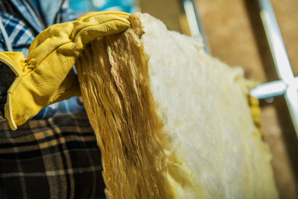 Trusted Kraemer, LA Insulation Contractor Experts