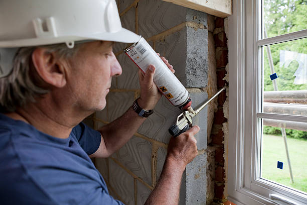 Best Spray Foam Insulation in Kraemer, LA
